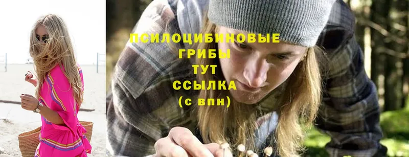 МЕГА рабочий сайт  shop формула  Псилоцибиновые грибы Psilocybe  Калязин 